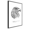 Artgeist Plakatas - Eagle of Freedom