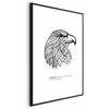 Artgeist Plakatas - Eagle of Freedom