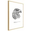 Artgeist Plakatas - Eagle of Freedom