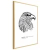 Artgeist Plakatas - Eagle of Freedom