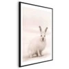 Artgeist Plakatas - Fearful Look