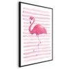 Artgeist Plakatas - Flamingo and Stripes