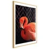 Artgeist Plakatas - Flamingo Solo