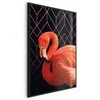 Artgeist Plakatas - Flamingo Solo