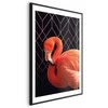 Artgeist Plakatas - Flamingo Solo
