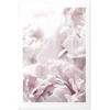 Artgeist Plakatas - Fluffy Peonies