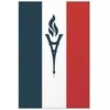 Artgeist Plakatas - French Flag with a Torch