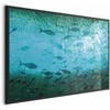 Artgeist Plakatas - Group of Dark Fish