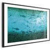 Artgeist Plakatas - Group of Dark Fish