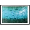 Artgeist Plakatas - Group of Dark Fish