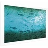 Artgeist Plakatas - Group of Dark Fish