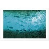 Artgeist Plakatas - Group of Dark Fish