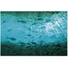 Artgeist Plakatas - Group of Dark Fish