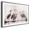 Artgeist Plakatas - Herons Painted in Ink
