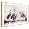 Artgeist Plakatas - Herons Painted in Ink