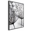 Artgeist Plakatas - Macro Dew