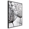 Artgeist Plakatas - Macro Dew