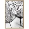Artgeist Plakatas - Macro Dew