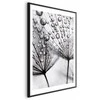 Artgeist Plakatas - Macro Dew