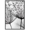 Artgeist Plakatas - Macro Dew