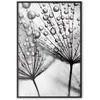 Artgeist Plakatas - Macro Dew