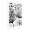 Artgeist Plakatas - Macro Dew