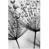 Artgeist Plakatas - Macro Dew