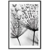 Artgeist Plakatas - Macro Dew