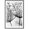 Artgeist Plakatas - Macro Dew