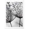 Artgeist Plakatas - Macro Dew