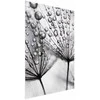Artgeist Plakatas - Macro Dew
