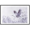 Artgeist Plakatas - Majestic Flight - crane in flight in a monochromatic, cool color palette
