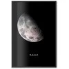 Artgeist Plakatas - Moon