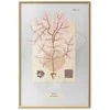 Artgeist Plakatas - Mysterious Tree
