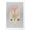 Artgeist Plakatas - Mysterious Tree