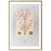 Artgeist Plakatas - Mysterious Tree