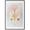 Artgeist Plakatas - Mysterious Tree