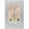 Artgeist Plakatas - Mysterious Tree