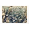 Artgeist Plakatas - Oceanic Nature