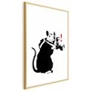 Artgeist Plakatas - Photographer Rat