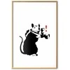 Artgeist Plakatas - Photographer Rat
