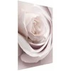 Artgeist Plakatas - Porcelain Rose