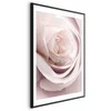 Artgeist Plakatas - Porcelain Rose