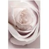 Artgeist Plakatas - Porcelain Rose