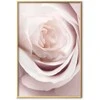 Artgeist Plakatas - Porcelain Rose