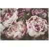 Artgeist Plakatas - Rožinė Peonies