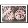 Artgeist Plakatas - Rožinė Peonies