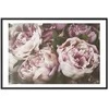 Artgeist Plakatas - Rožinė Peonies
