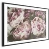 Artgeist Plakatas - Rožinė Peonies