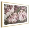 Artgeist Plakatas - Rožinė Peonies
